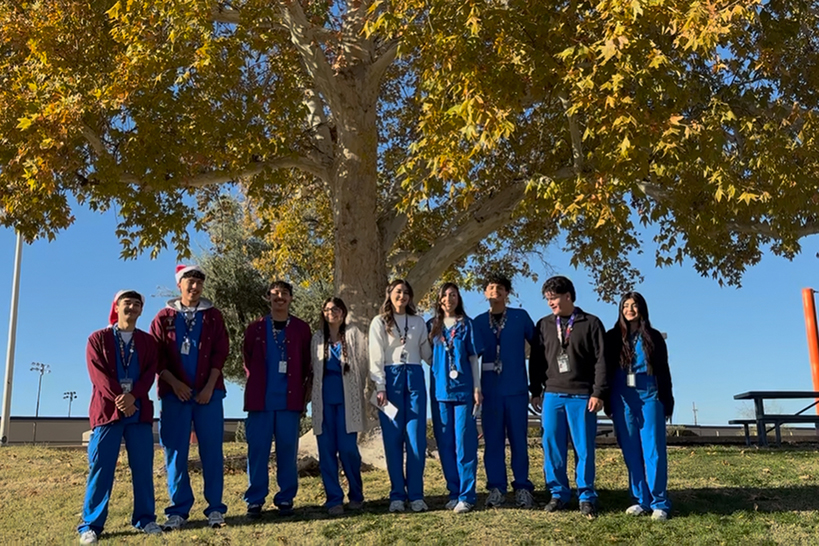 Students stand in a line for a group photo under a yellow tree
